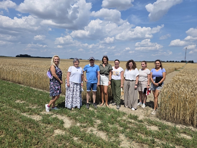 Lustaracja HR Smolice o. Bąków poletka doświadczalne